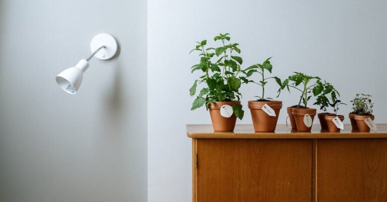 7 Best Under Cabinet Grow Lights for Starting Herbs Year-Round