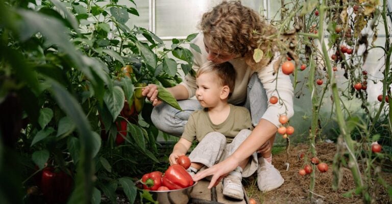 7 Best Micro Sprinkler Tubing for Greenhouse Tomatoes That Prevent Root Rot
