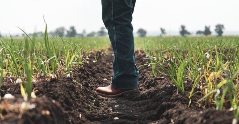 4 Best Lightweight Waterproof Boots for Spring Planting That Last