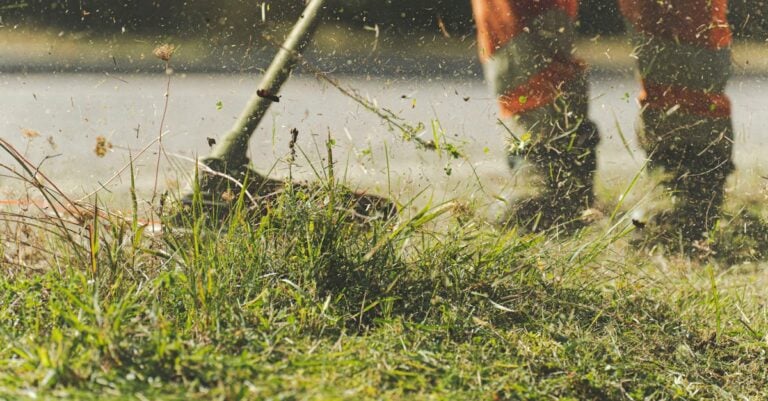 4 Best Lawn Mower Sweepers for Removing Fallen Leaves Fast