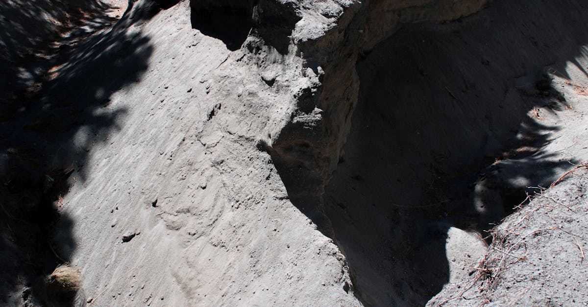 a rugged eroded rock formation with shadows cast by surrounding foliage captured in bright daylight
