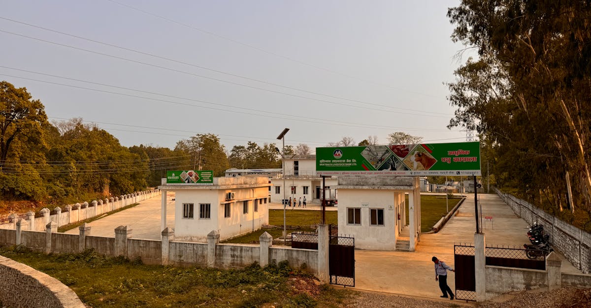 a rural facility with an open gate surrounded by trees and a sunset sky presents a peaceful rural