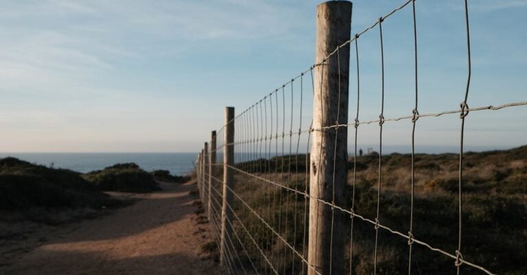 3 Best Wire Staples for Attaching Fencing to Wooden Posts That Last Decades