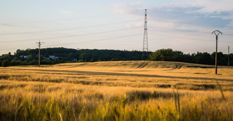 3 Best Trailer Wiring Strippers That Prevent Harvest Breakdowns