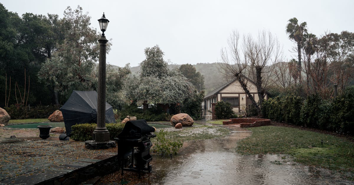 a stormy day view of a suburban backyard showing a flooded area surrounded by trees and a house