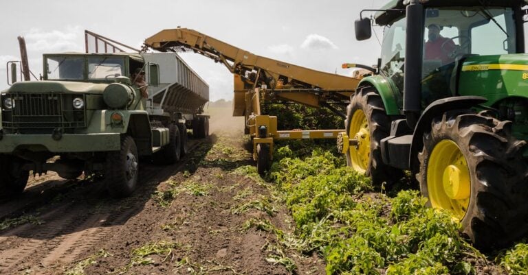 7 Best Durable Cutoff Wheels for Demanding Farm Applications That Last