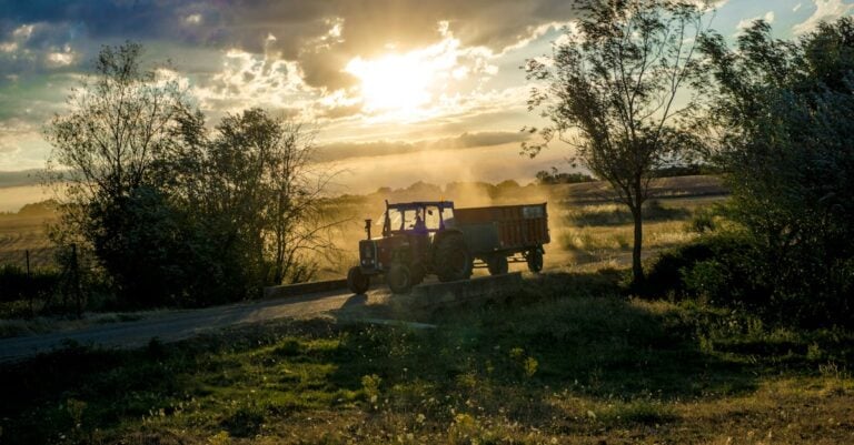 6 Best Cooler Lights for Early Morning Farm Work That Beat the Cold