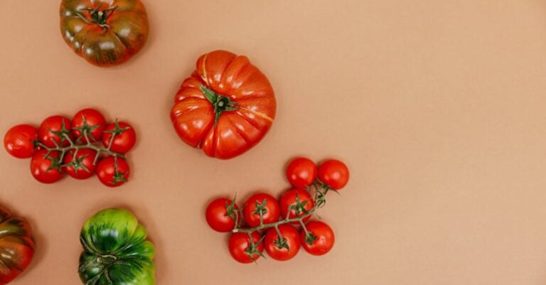 5 Best Small Tomato Cages for Dwarf Varieties That Maximize Yields