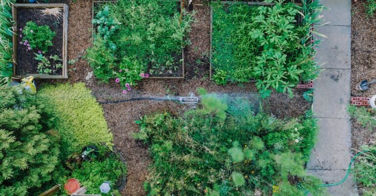 6 Best Coop Watering Systems for Sustainable Farms That Cut Costs