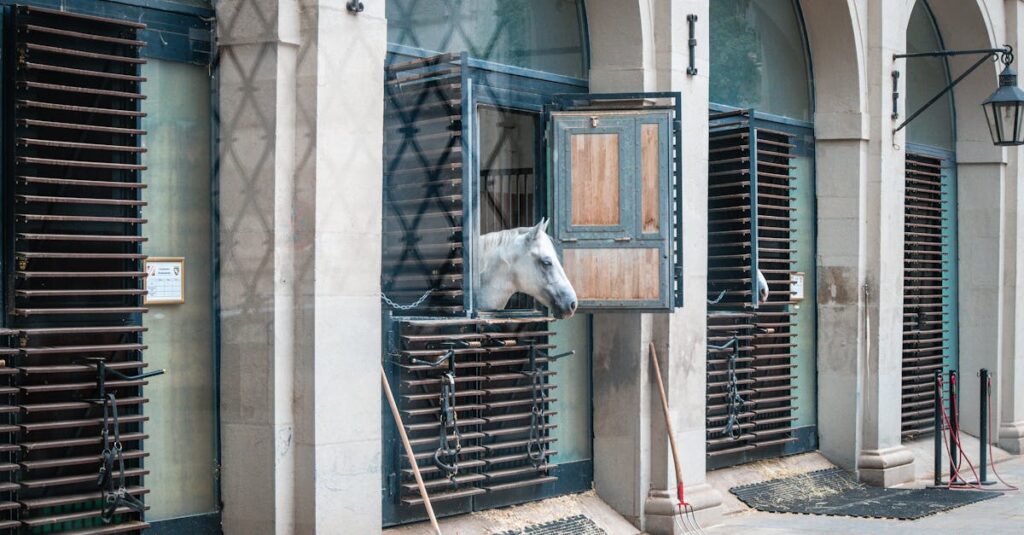 a white horse peers from a stable window in a classic architectural setting elegant and serene
