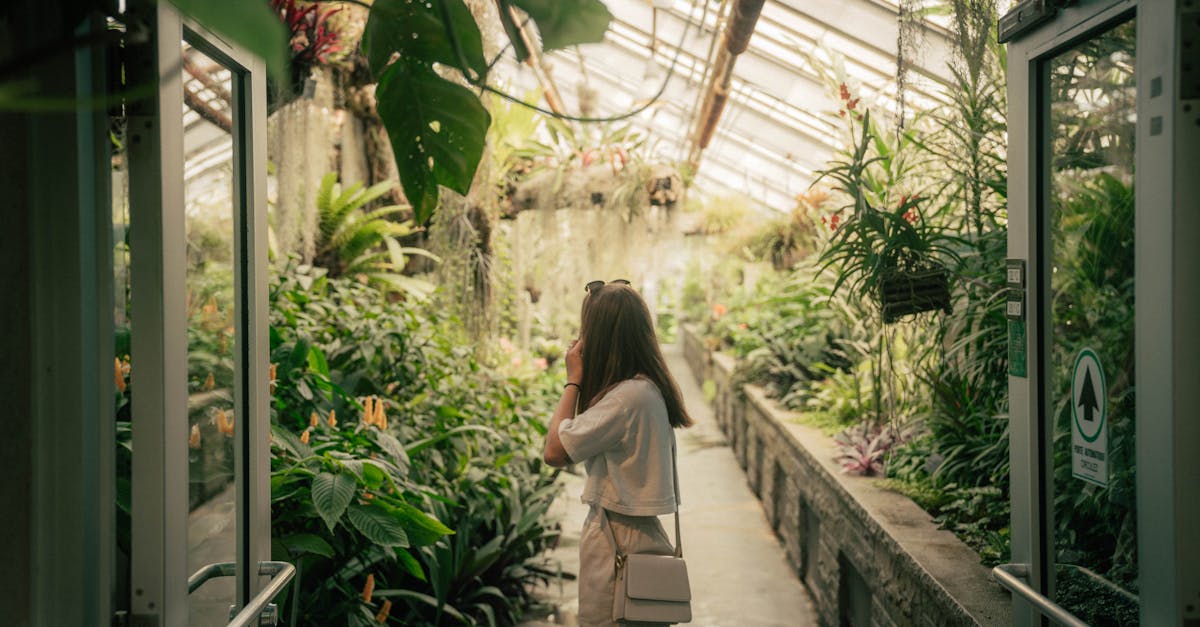 a woman admires vibrant plants in a tropical greenhouse conservatory