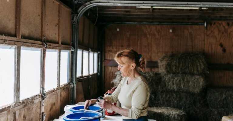 7 Best Customizable Feed Storage Systems for Mixed Animals That Prevent Cross-Contamination