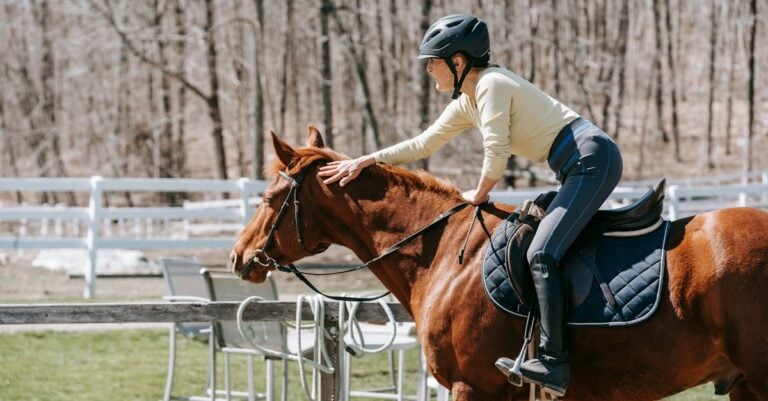 5 Best Horse Trimming Clippers for Bridle Paths That Pros Trust