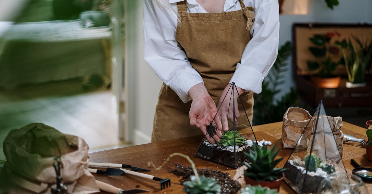 a woman in an apron assembling a beautiful indoor succulent terrarium with gardening tools