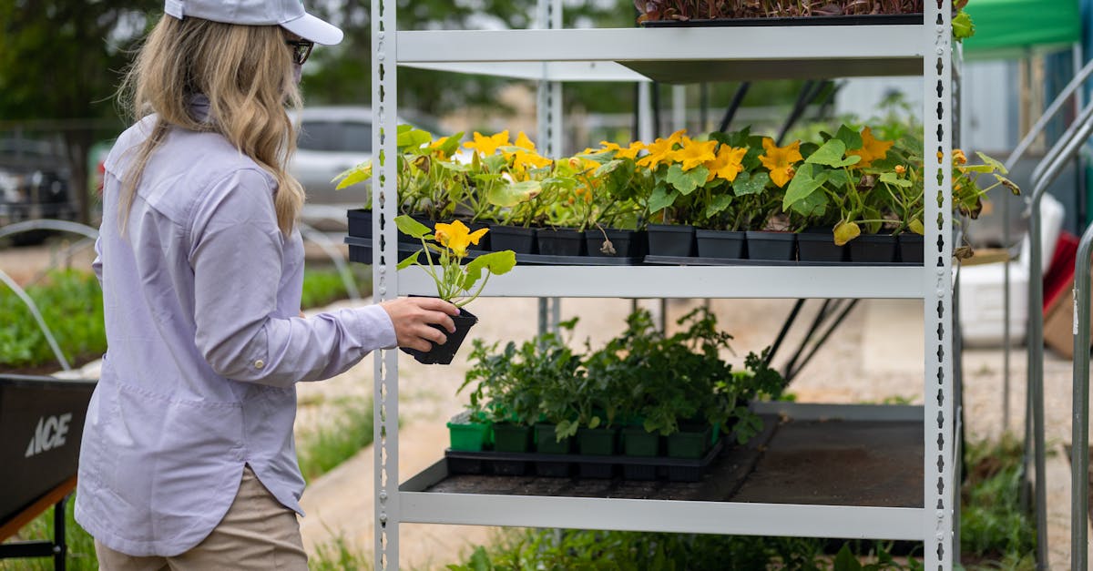 a woman in purple attire tending to potted plants on an outdoor garden shelf
