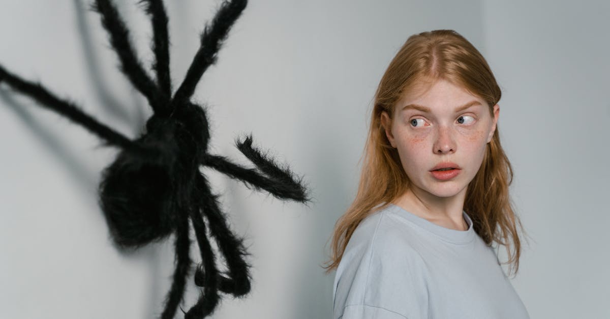 a woman shows fear as she encounters a large wall mounted spider highlighting themes of