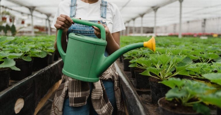 4 Best Programmable Timers for Greenhouse Watering That Save Hours