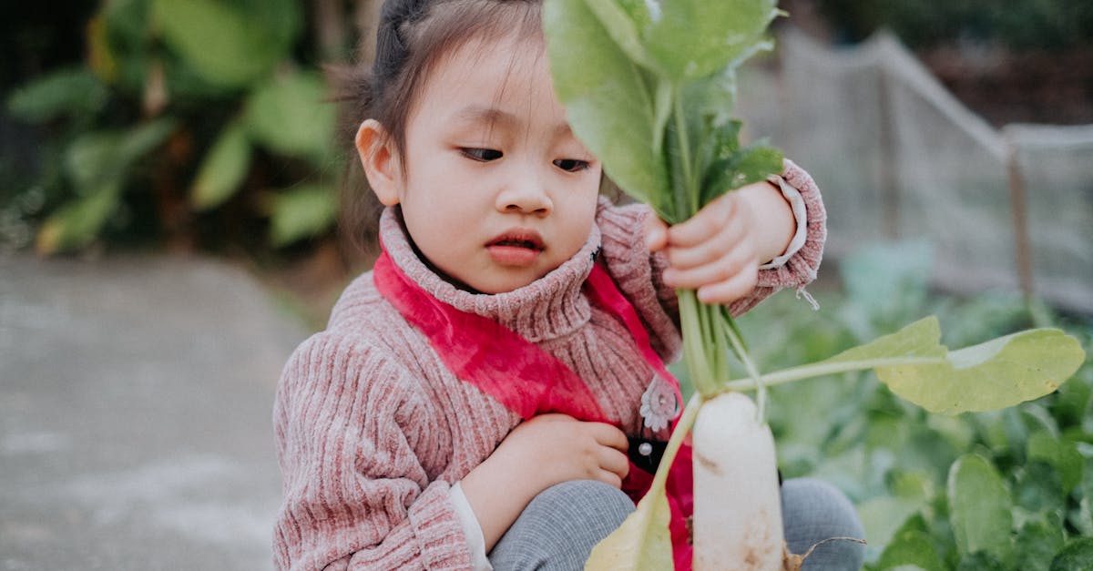 a young child joyfully picks fresh vegetables in a lush garden setting outdoors