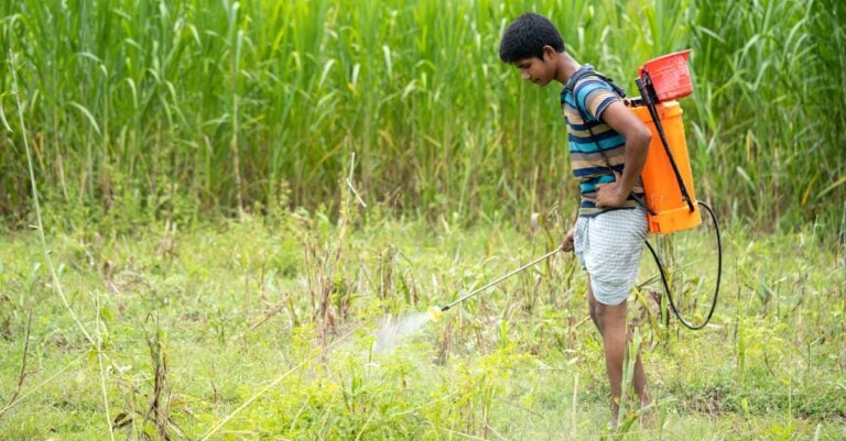 4 Best Sprayer Nozzles for Herbicide Application That Cut Drift