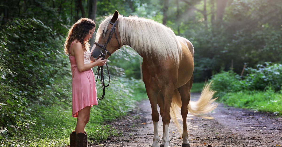 a young woman in a pink dress with a horse on a sunlit forest pathway