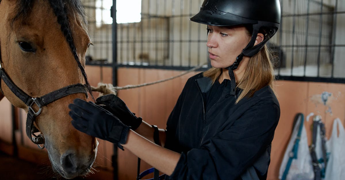 a young woman in equestrian gear gently caresses a chestnut horse in a stable