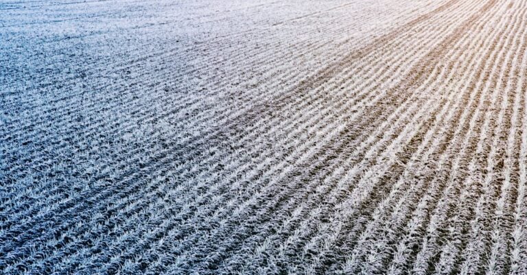 7 Best Frost Proof Poly Pipe for Cold Climate Farms That Survive Winter