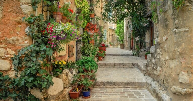 5 Best Narrow Trellises for Climbing Flowers on Walls That Maximize Small Spaces
