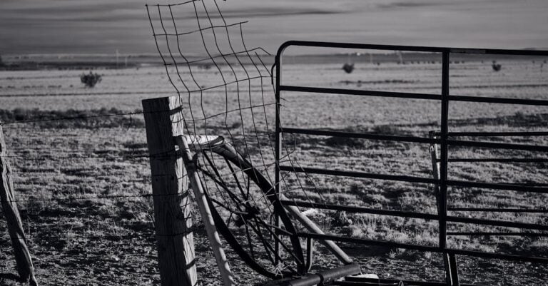 6 Best Farm Gate Wheels for Easy Opening That Save Your Back