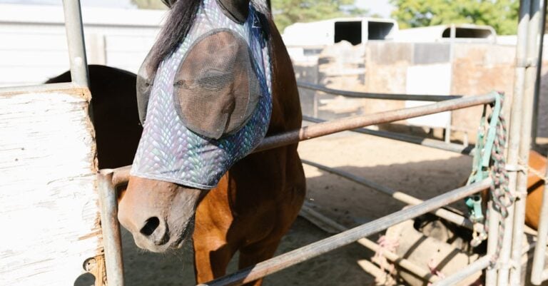 4 Best Equine Insect Repellents for Pasture Protection That Work