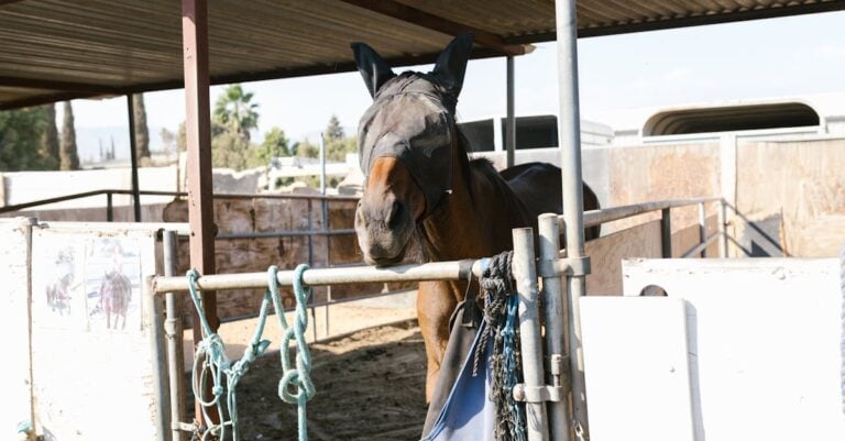 7 Best Heavy Duty Gate Hinges and Latches for Horse Paddocks That Prevent Escapes