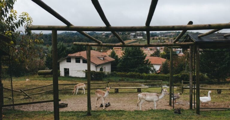 3 Best Deer Fencing for Orchard Protection That Old Farmers Trust