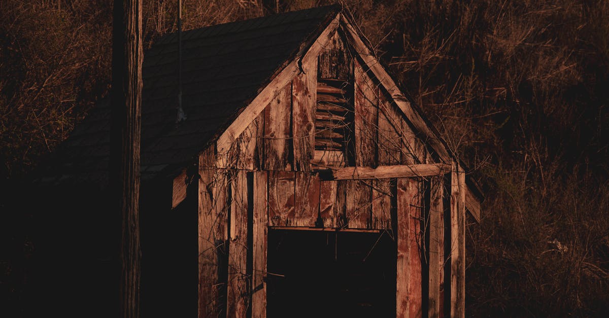 capture of an abandoned rustic wooden shed at sunrise in san francisco california