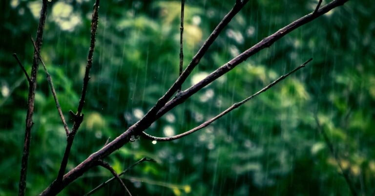 7 Best Comfortable Rain Bibs for Planting Season That Work All Day