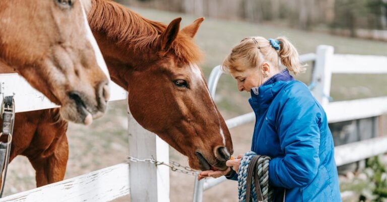 4 Best Big Insulated Jackets for Feeding Livestock That Old Farmers Trust