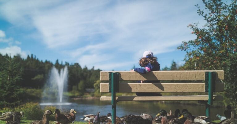 7 Best Pond Fountains for Attracting Birds That Work Year-Round