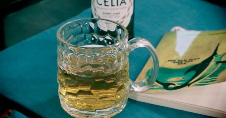 6 Best Beer Brewing Kits for Home Brewing Perfect for Beginners