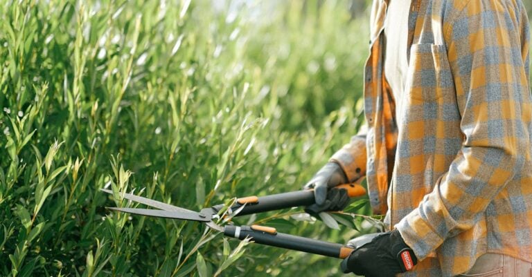 7 Best Clipper Lubricants for Summer Clipping That Beat the Heat