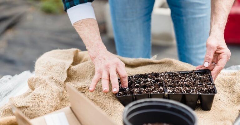 6 Best Seedling Warming Trays for Early Spring Planting Success