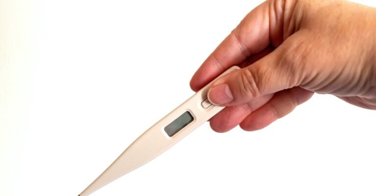 7 Best Digital Heat Mats for Precise Temperature Control That Work