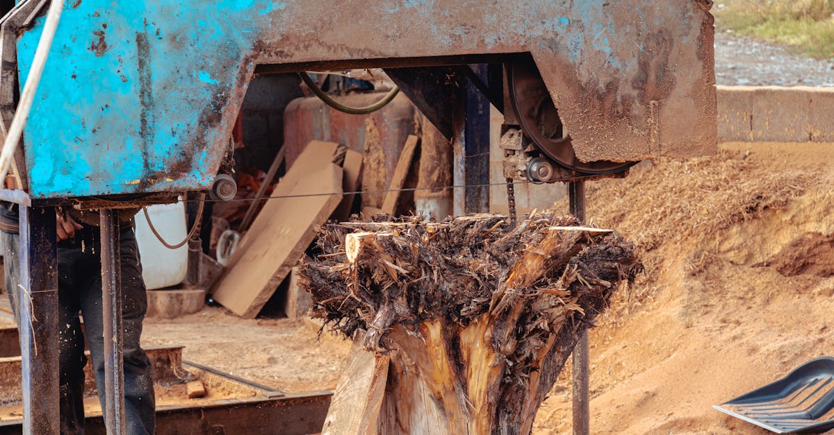 close up of a logging machine in action cutting a large tree stump outdoors