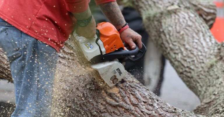 6 Best Gas Log Splitters for Heavy Firewood Use That Save Your Back