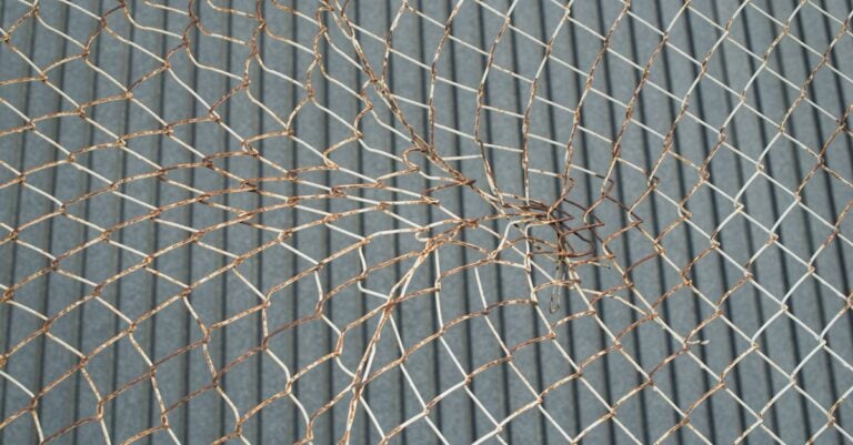 4 Best Steel Mesh Cages for Protecting Vegetable Plants That Last