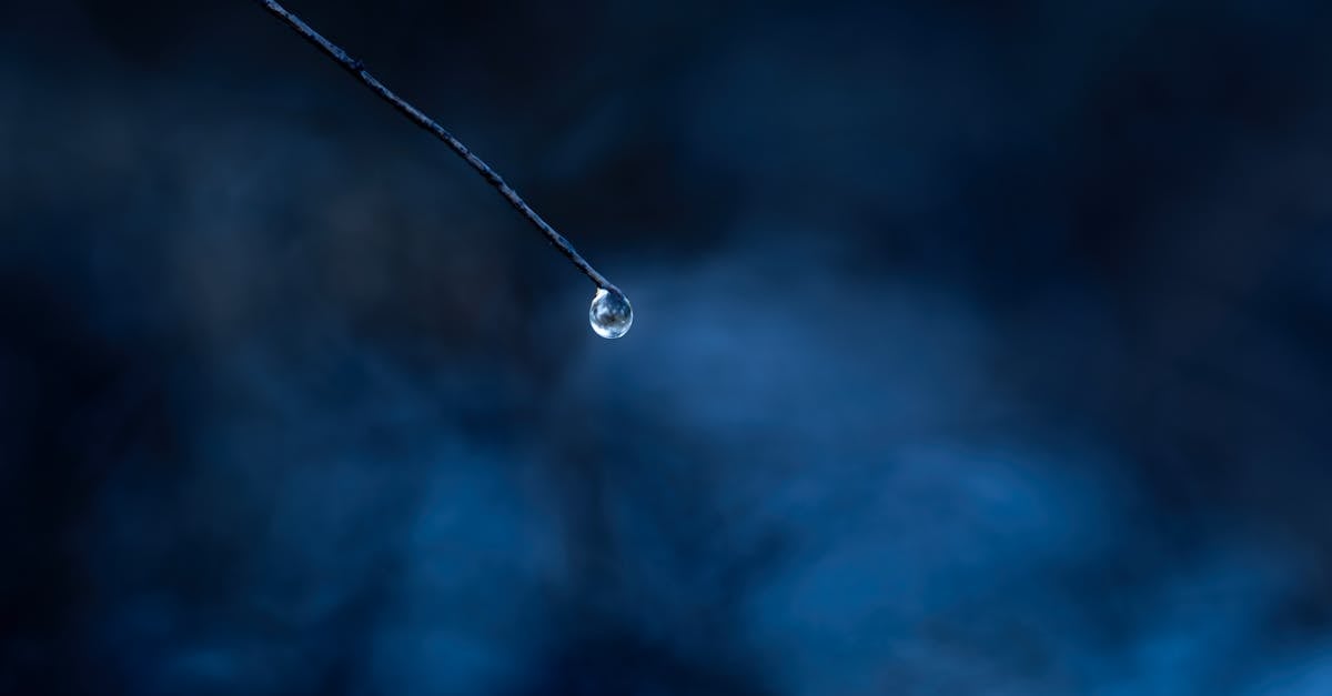 close up of a single water droplet on a branch against a blue background