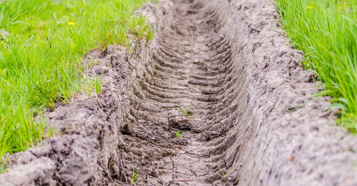 close up of a tractor track in a vibrant green field in the countryside