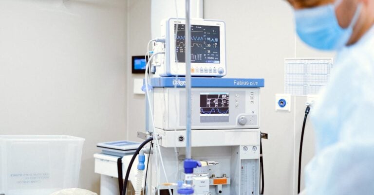 3 Best Incubator Temperature Controllers for Precise Regulation