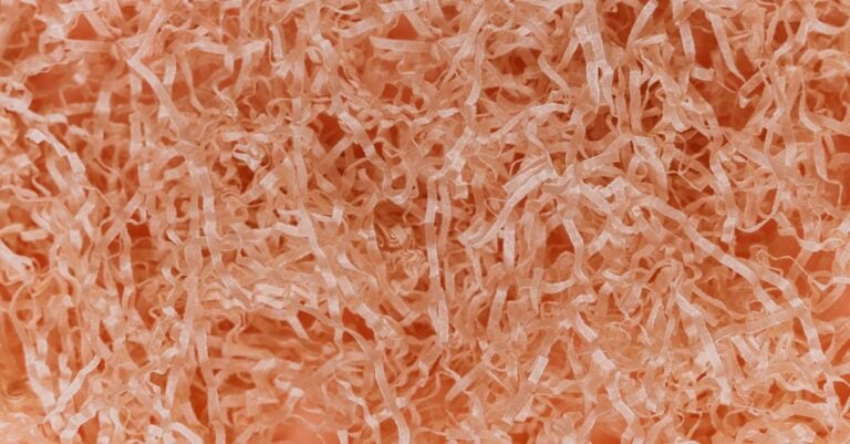 3 Best Shredded Paper for Cost-Effective Nesting Filler on a Budget