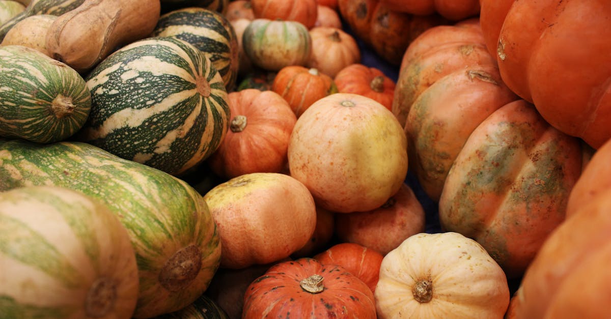 close up of assorted fresh organic pumpkins showcasing vibrant colors and