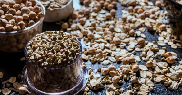 4 Best Buckwheat for Improving Soil Health That Build Living Soil