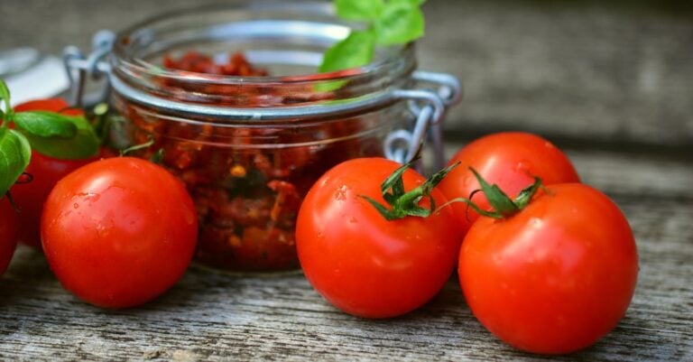 4 Best Canning Cookbooks for Preserving Garden Harvest That Save Money