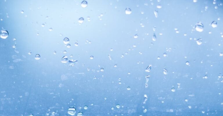 5 Best Rain Chains for Gentle Water Dispersal That Protect Gardens